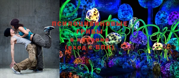 винт Рославль