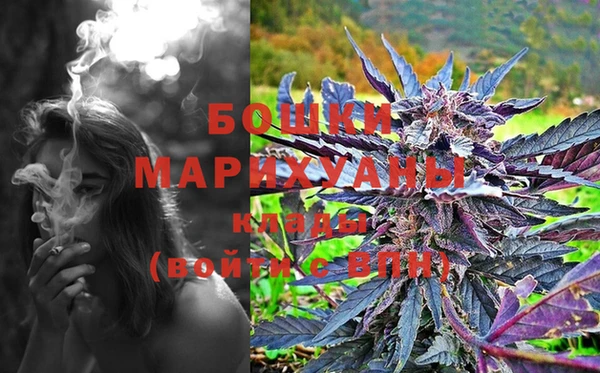 винт Рославль